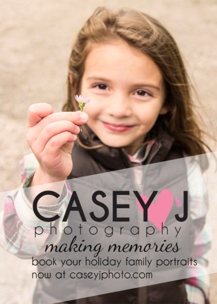 Holiday Family Portraits, Christmas photos, Family Portraits Las Vegas, Family Portraits Provo, Holiday Booking, Casey J Photography, Photography Advertisement