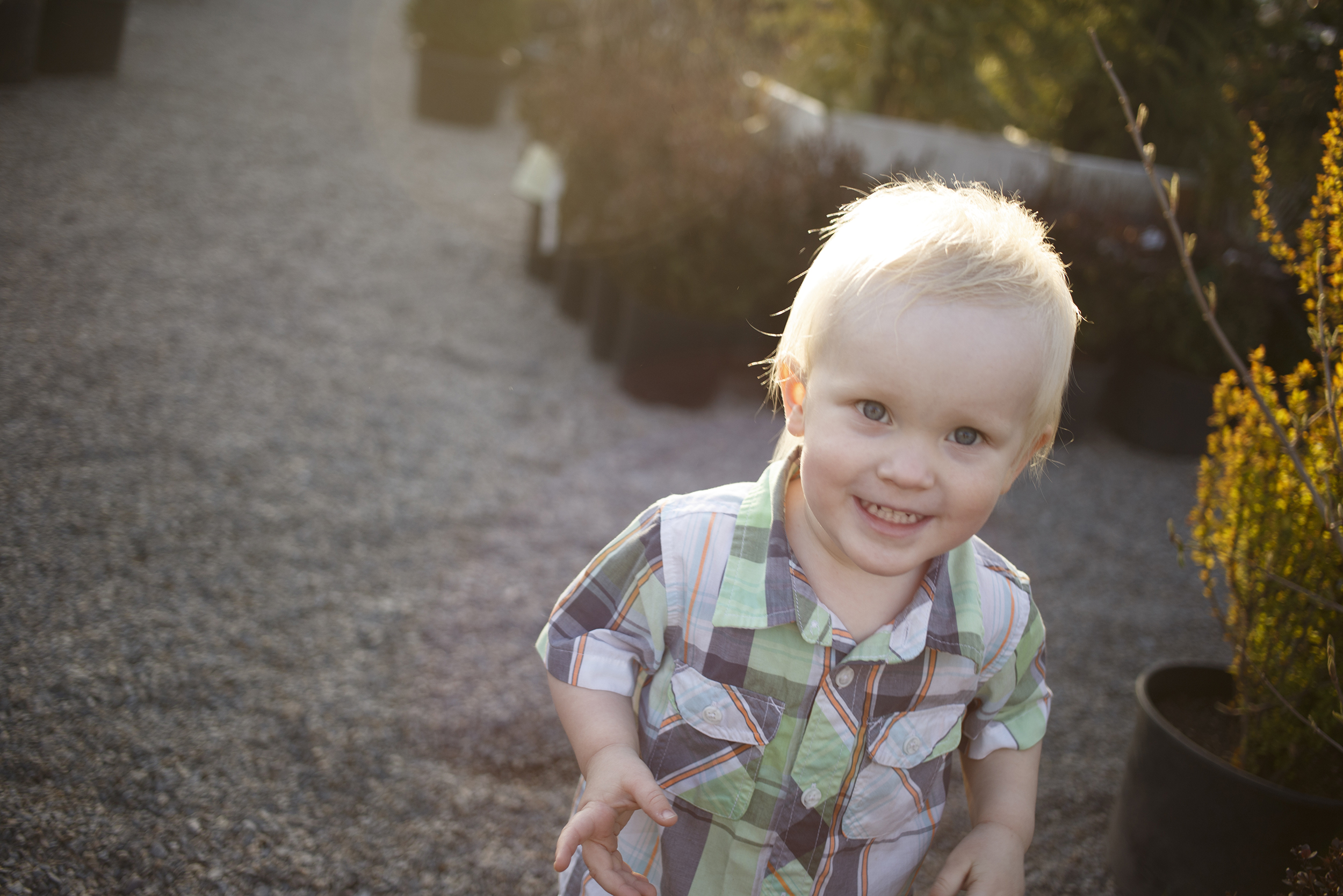 Tucson photographer, sahuarita photographer,Tucson Family Photos, Sahuarita Family Photos